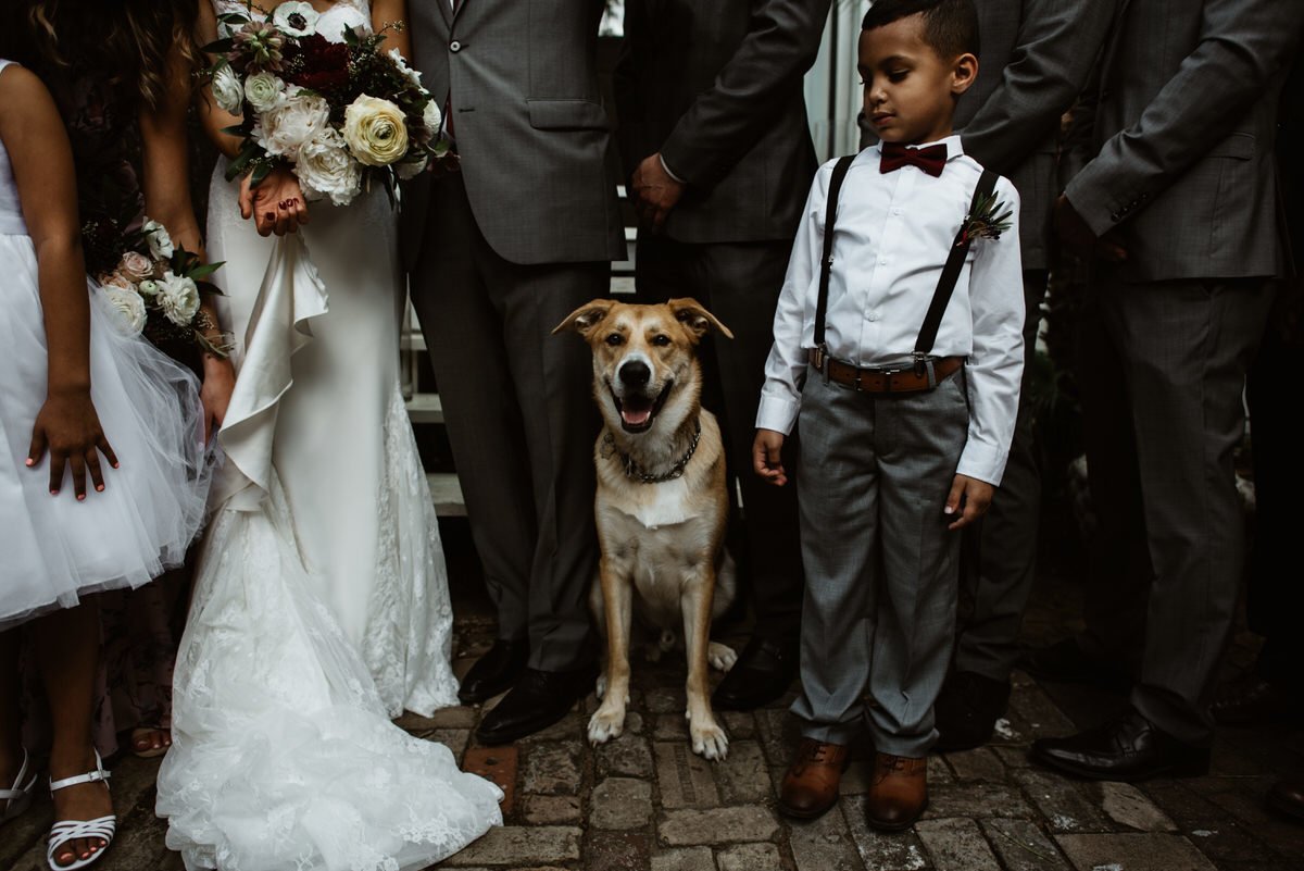 bridal party photo with dog