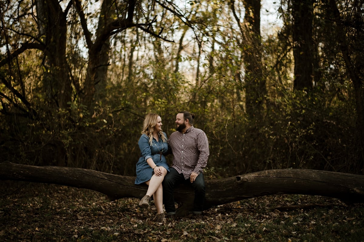 couple sits on tree for engagement