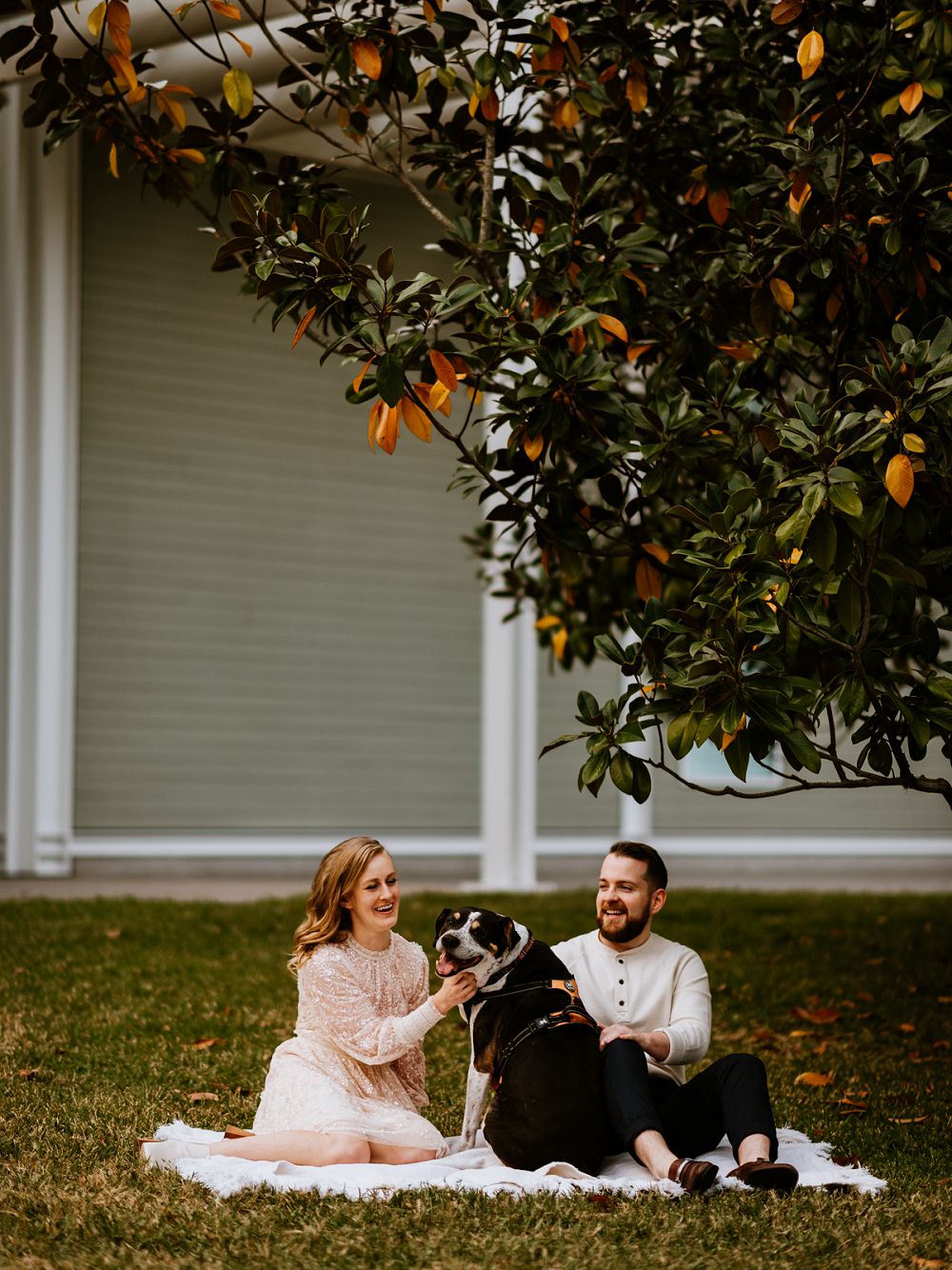 outdoor engagement with dog
