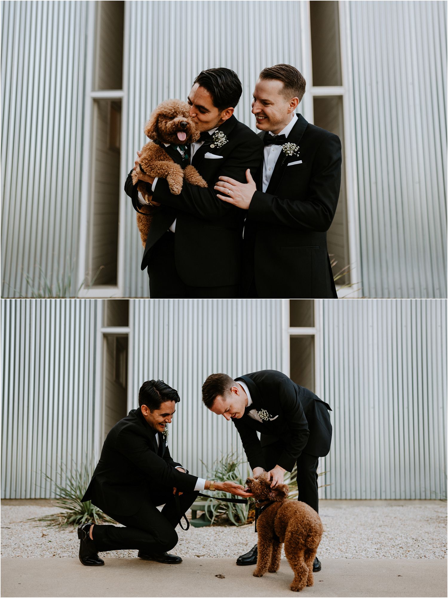 grooms pose with dog on wedding day